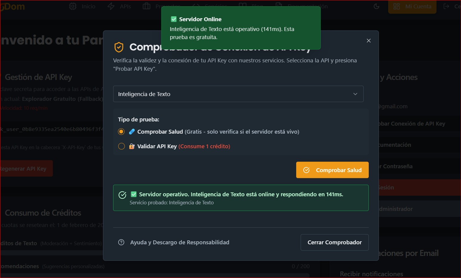 Comprobador de APIs en el panel de usuario